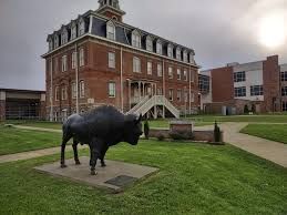Buffalo statue and Old Main